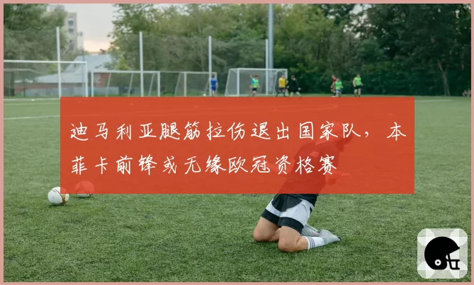 迪马利亚腿筋拉伤退出国家队,本菲卡前锋或无缘欧冠资格赛