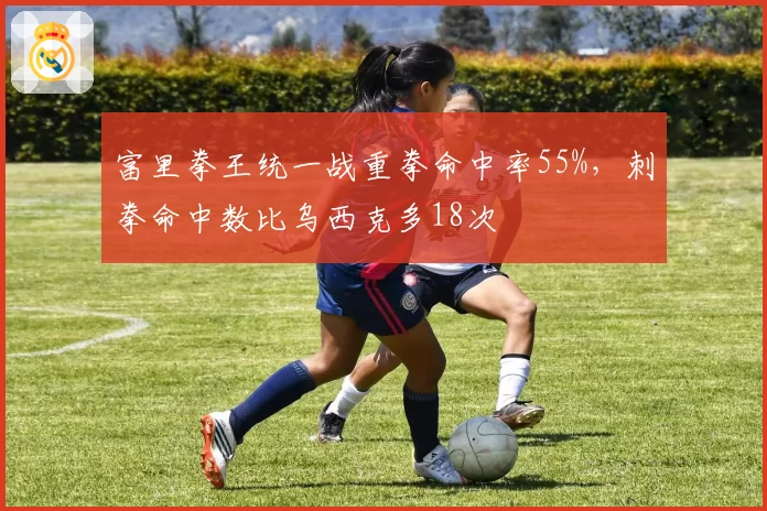富里拳王统一战重拳命中率55%，刺拳命中数比乌西克多18次