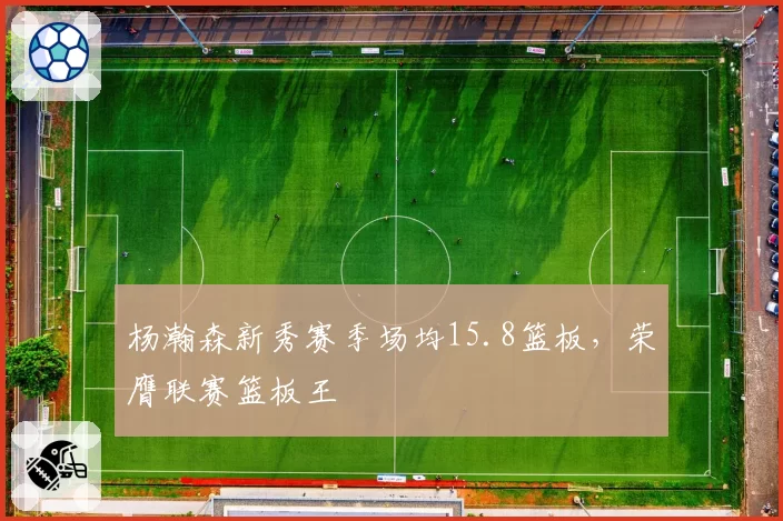 杨瀚森新秀赛季场均15.8篮板，荣膺联赛篮板王