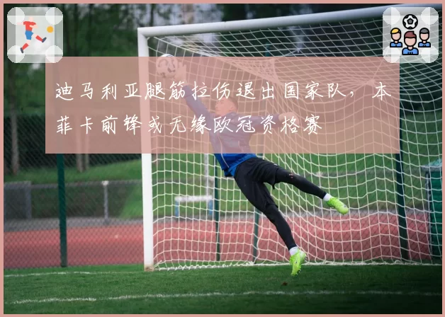 迪马利亚腿筋拉伤退出国家队,本菲卡前锋或无缘欧冠资格赛